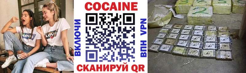 COCAIN Fish Scale  купить наркотики цена  Городовиковск 