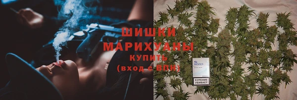 таблы Богородицк