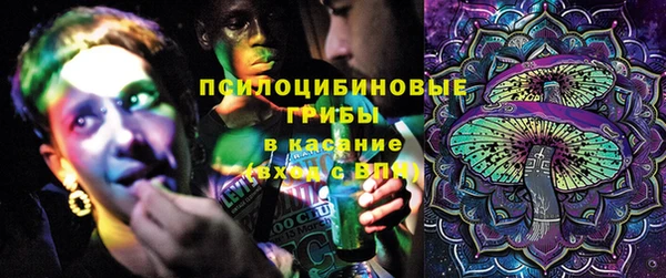 таблы Богородицк