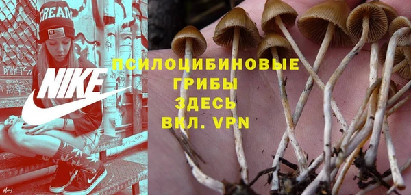 таблы Богородицк
