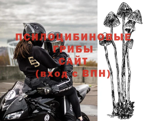 таблы Богородицк