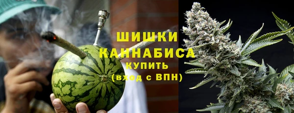 мдпв Богородск