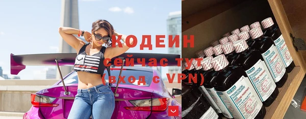 таблы Богородицк