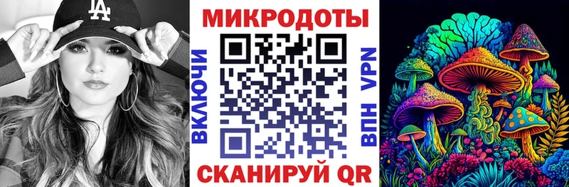 где можно купить наркотик  Городовиковск  Галлюциногенные грибы мухоморы 